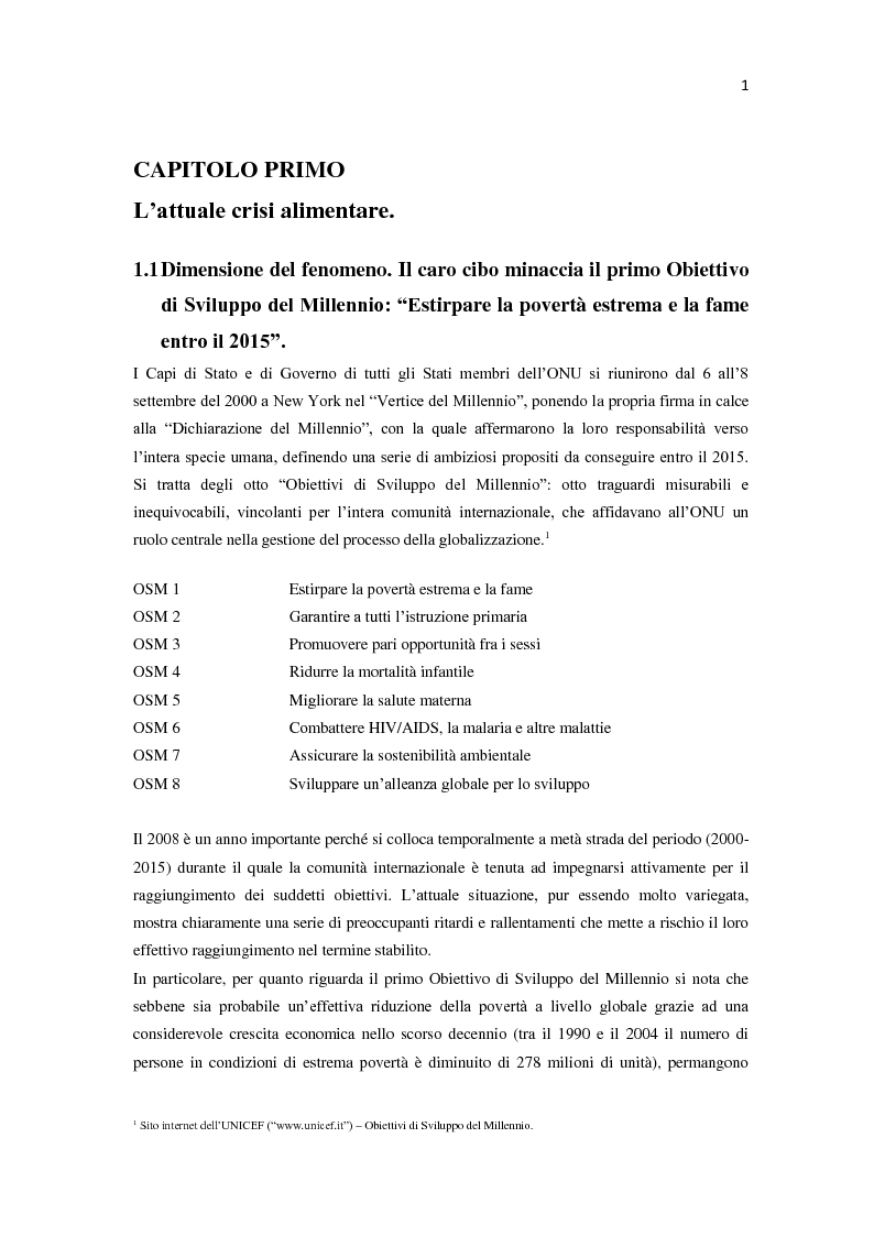 Anteprima della tesi: Millennium development goals: quali ostacoli al loro raggiungimento?, Pagina 3