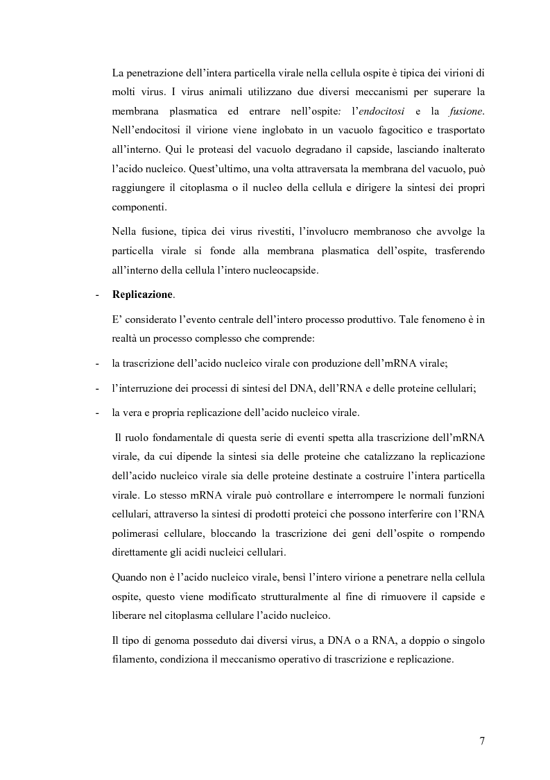 Anteprima della tesi: Il ruolo degli Herpesvirus nella patologia del sistema nervoso centrale: outcome clinico e trattamento ri/abilitativo, Pagina 5