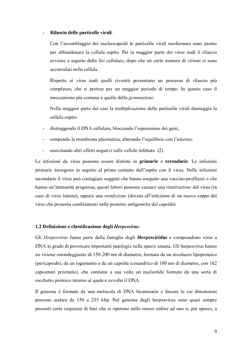 Anteprima della tesi: Il ruolo degli Herpesvirus nella patologia del sistema nervoso centrale: outcome clinico e trattamento ri/abilitativo, Pagina 7