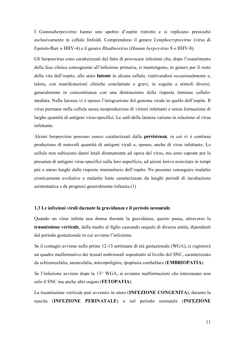 Anteprima della tesi: Il ruolo degli Herpesvirus nella patologia del sistema nervoso centrale: outcome clinico e trattamento ri/abilitativo, Pagina 9