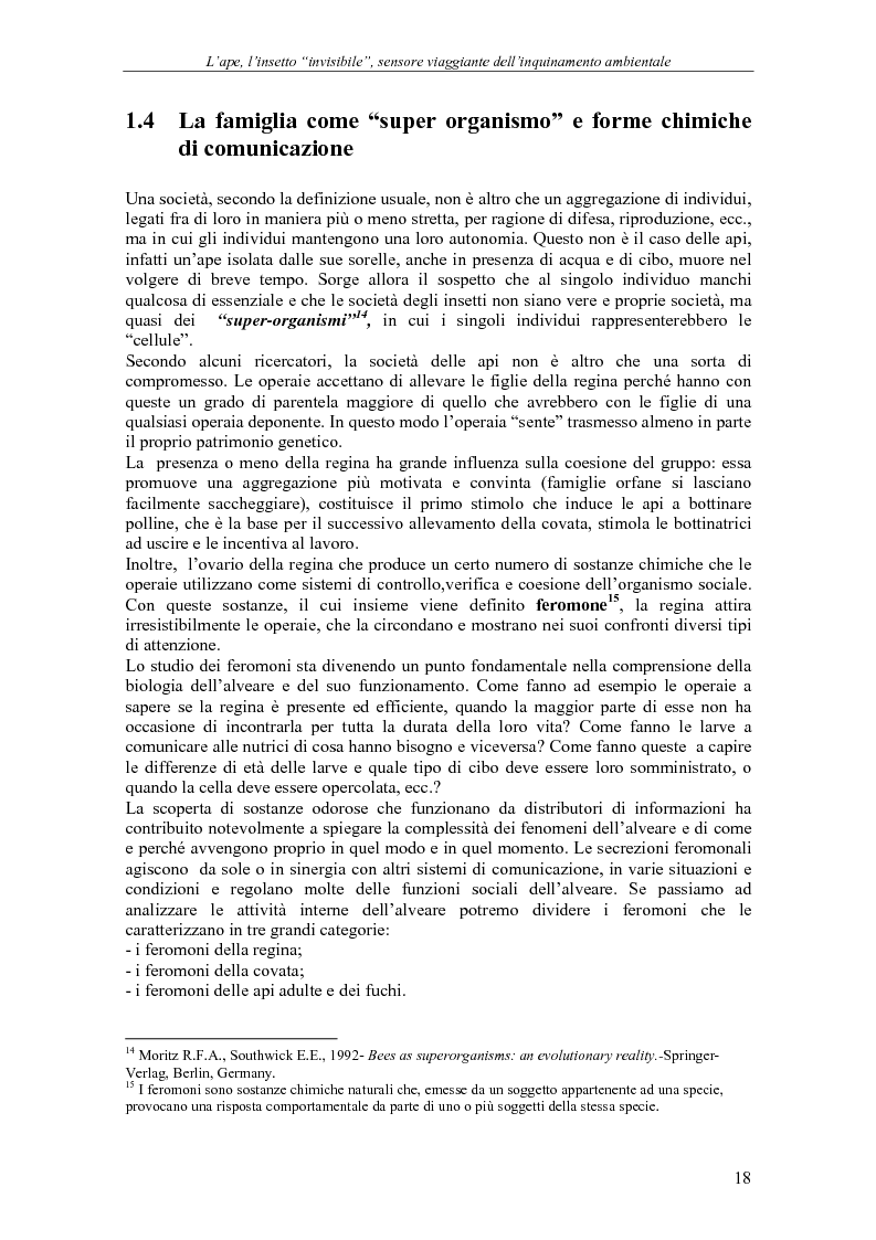 Estratto dalla tesi: L'ape, l'insetto invisibile, sensore viaggiante dell'inquinamento ambientale