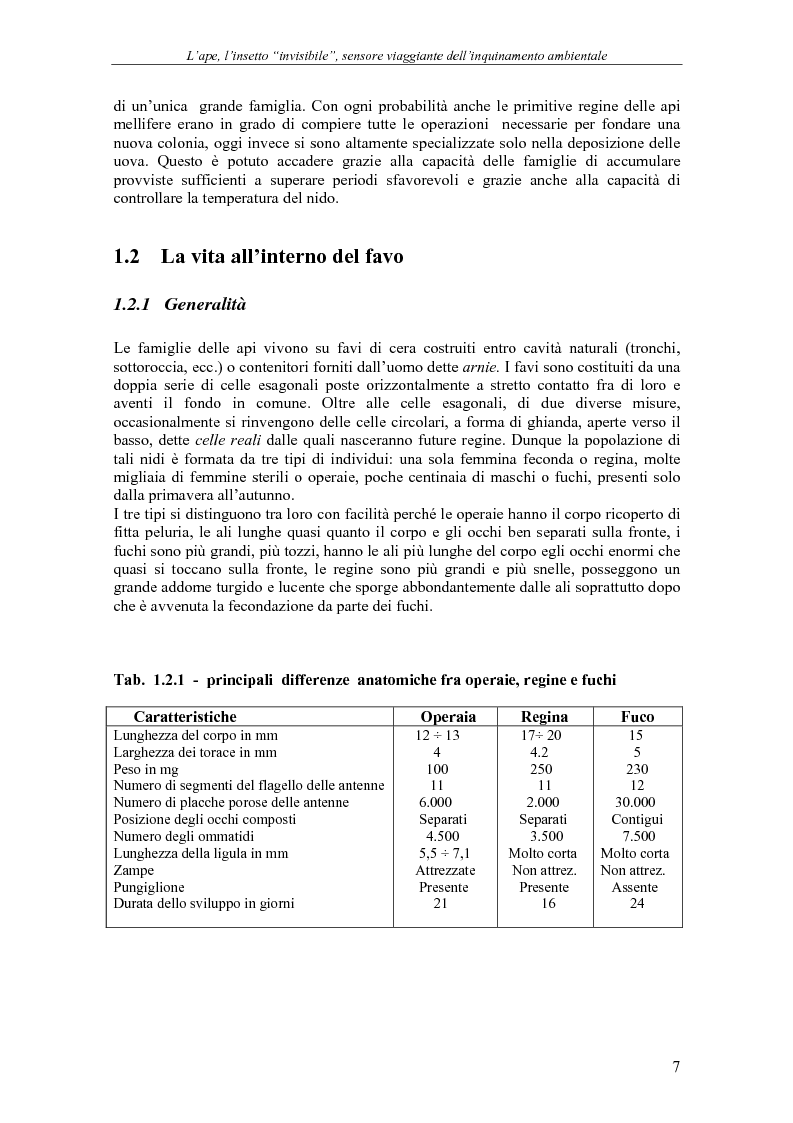 Anteprima della tesi: L'ape, l'insetto invisibile, sensore viaggiante dell'inquinamento ambientale, Pagina 3
