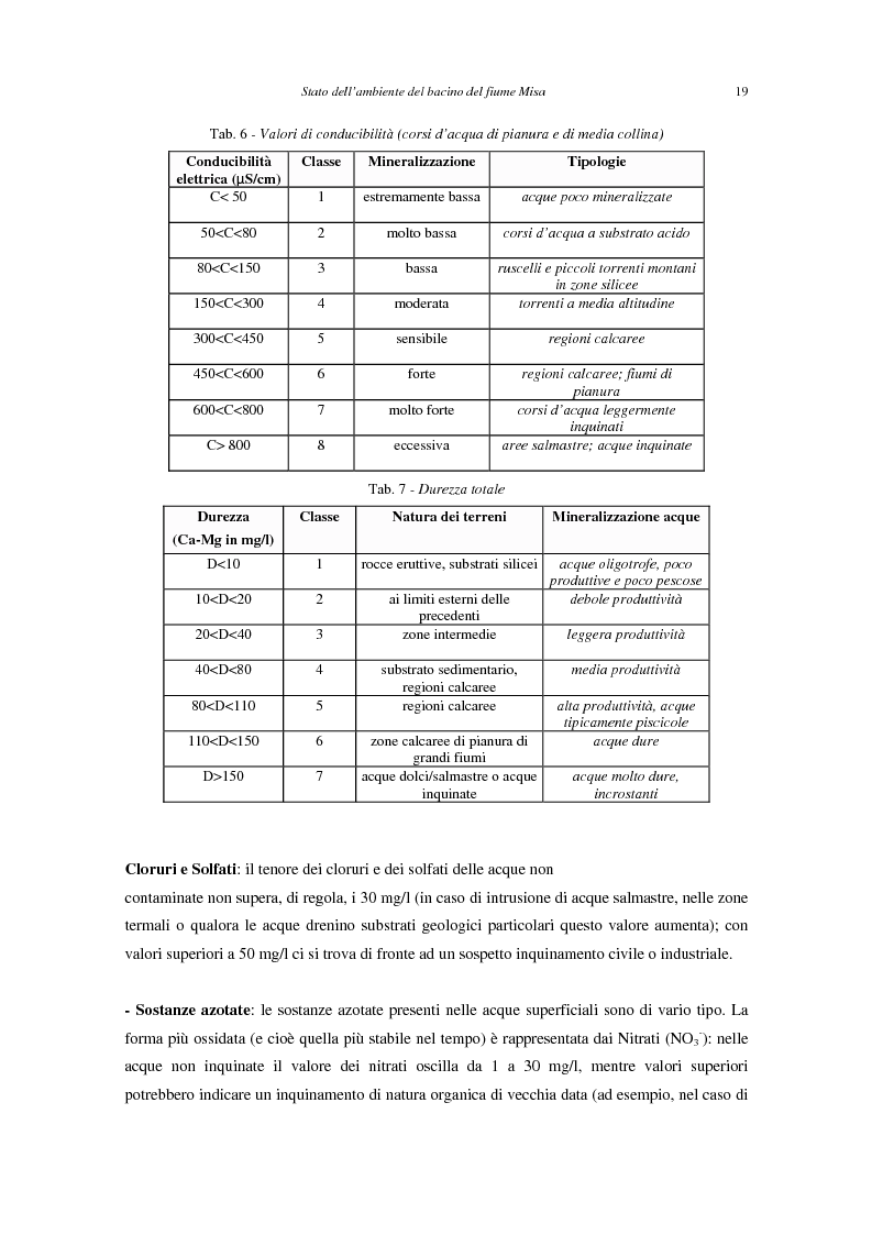 Anteprima della tesi: Stato dell'ambiente del bacino del fiume Misa (Marche), Pagina 11