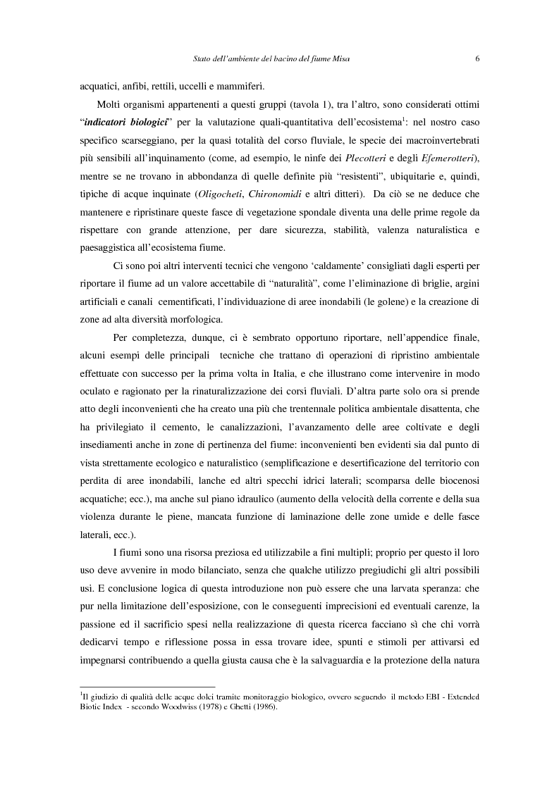 Anteprima della tesi: Stato dell'ambiente del bacino del fiume Misa (Marche), Pagina 5