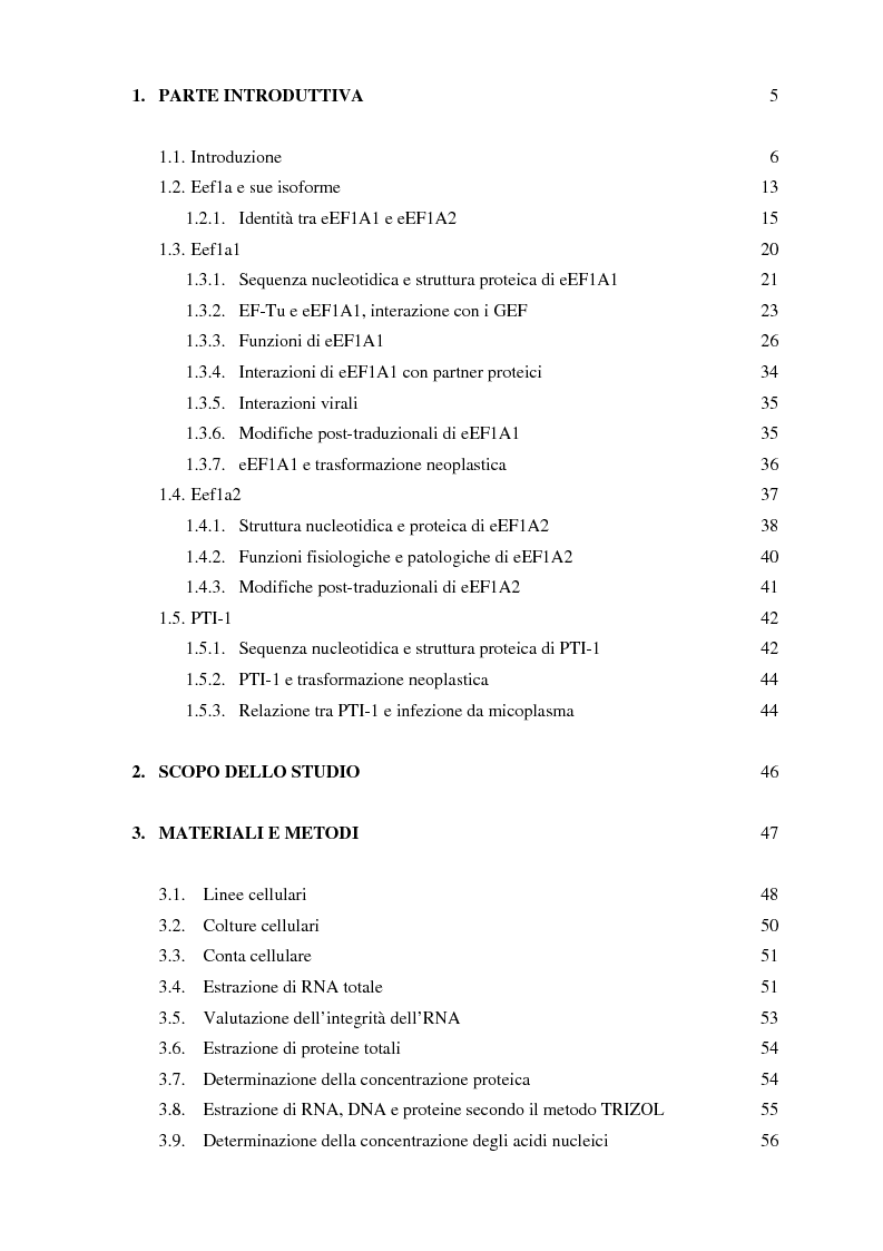 Indice della tesi: Studio dell'espressione di EEF1A e delle sue isoforme in linee cellulari tumorali umane, Pagina 1