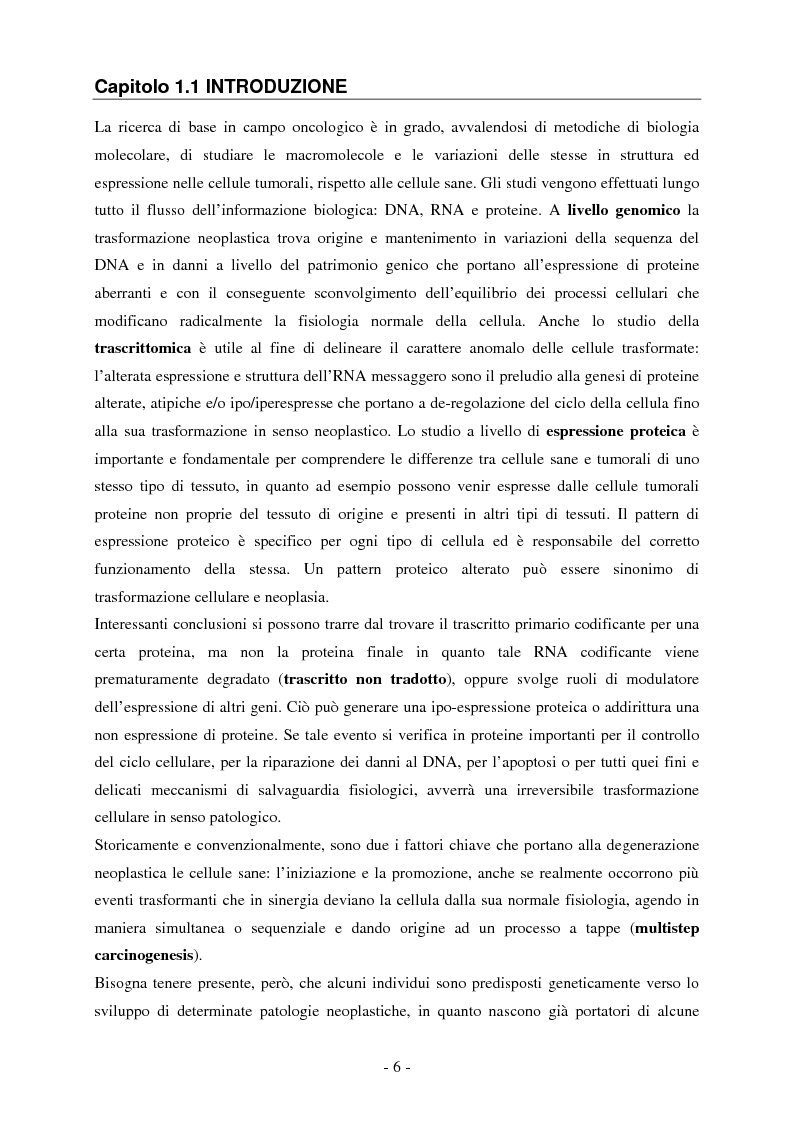 Anteprima della tesi: Studio dell'espressione di EEF1A e delle sue isoforme in linee cellulari tumorali umane, Pagina 1