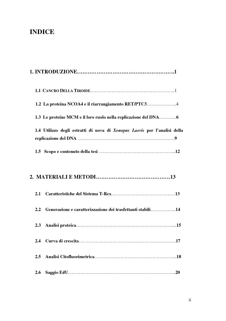 Indice della tesi: L'espressione regolata della proteina NCOA4 nel sistema T_REX e gli effetti sulla crescita cellulare, Pagina 1