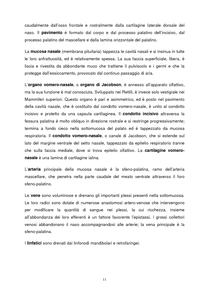 Estratto dalla tesi: Emorragia polmonare da sforzo nel cavallo sportivo con particolare riferimento all'effetto sulle performance atletiche