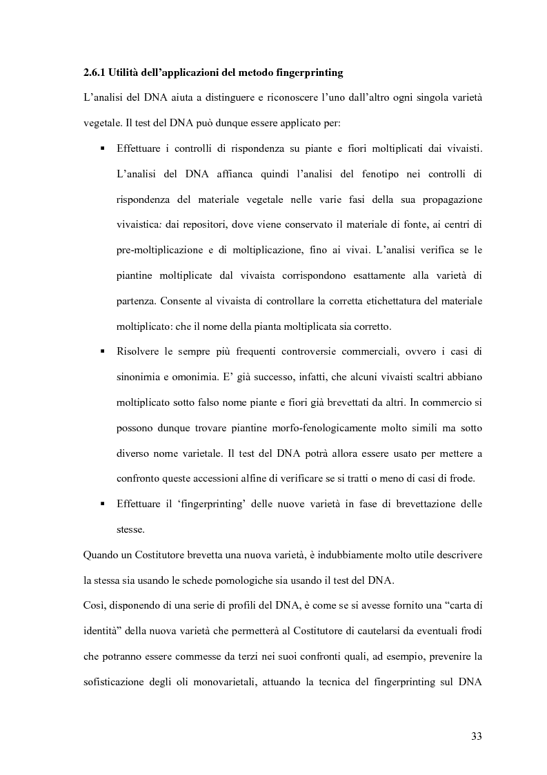 Estratto dalla tesi: Caratterizzazione pomologica, molecolare e chimico-fisica della Bianchera-Belica, una varietà di olivo autoctona dell’area Carsico-Istriano-Dalmata