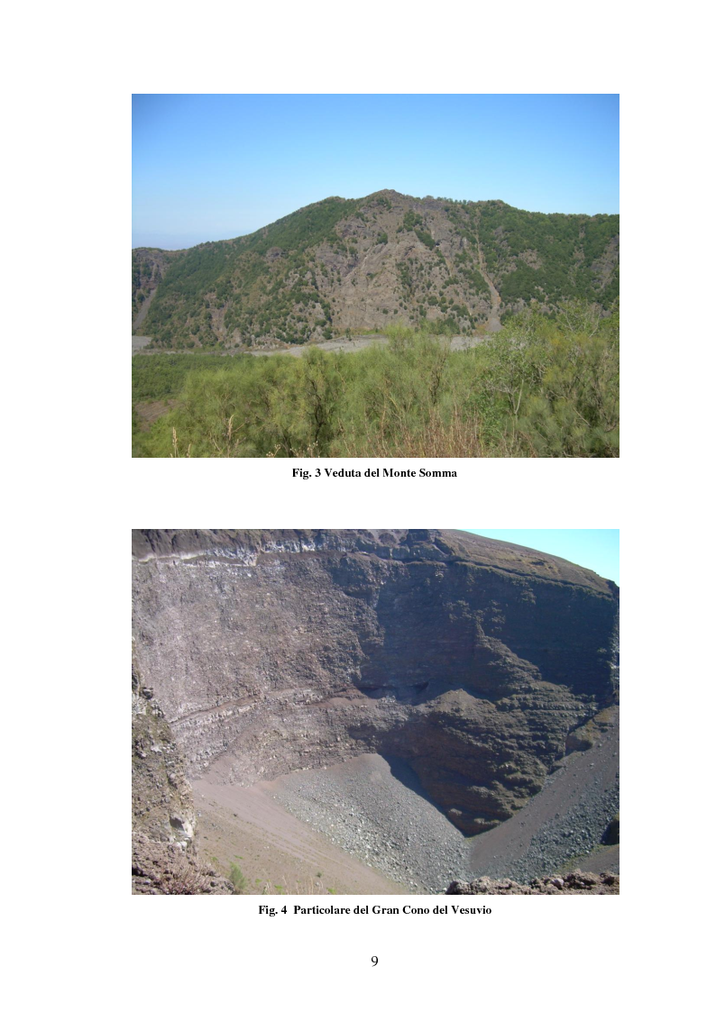 Anteprima della tesi: Turismo e aree protette: il parco nazionale del Vesuvio, Pagina 4