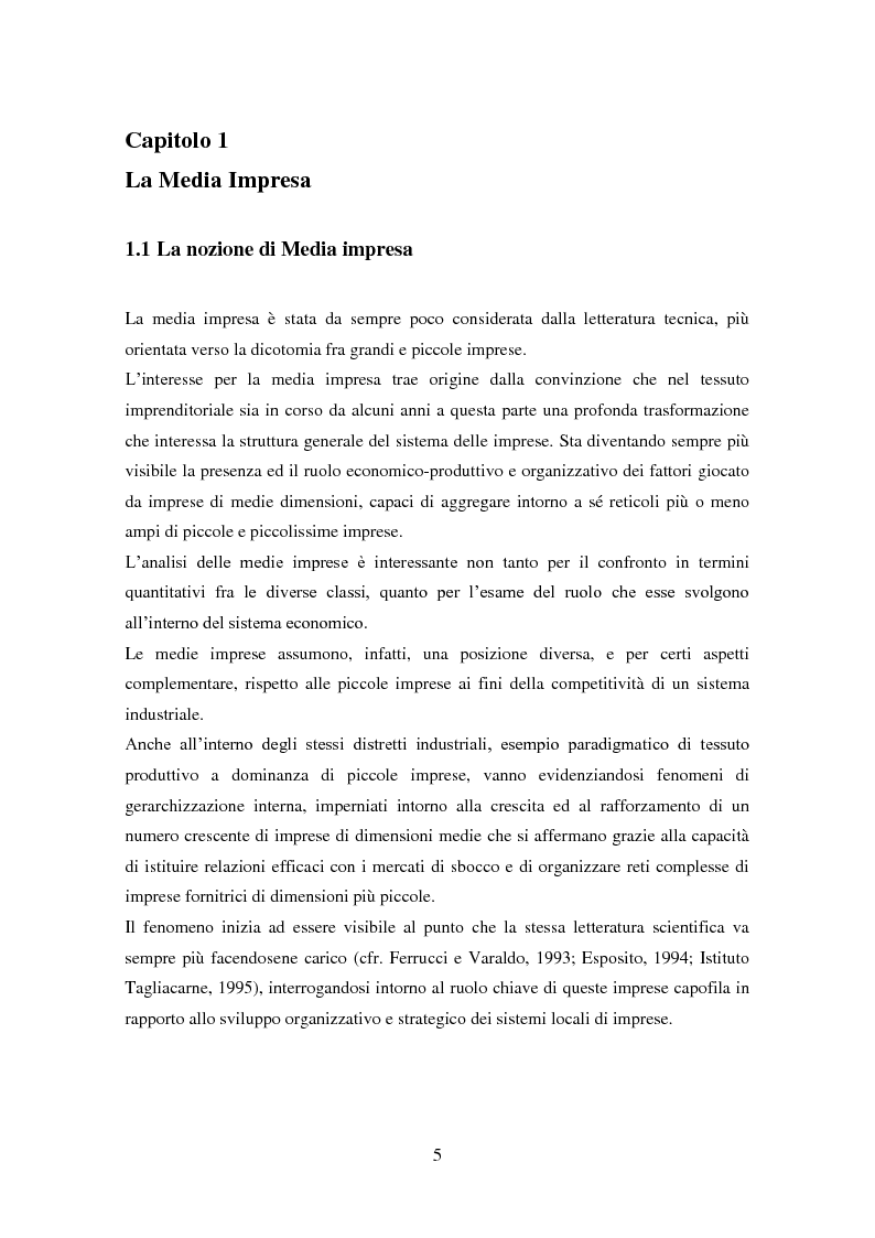 Anteprima della tesi: Le medie imprese commerciali, un'analisi di due macroaree: Nord Est e Sud Italia, Pagina 5