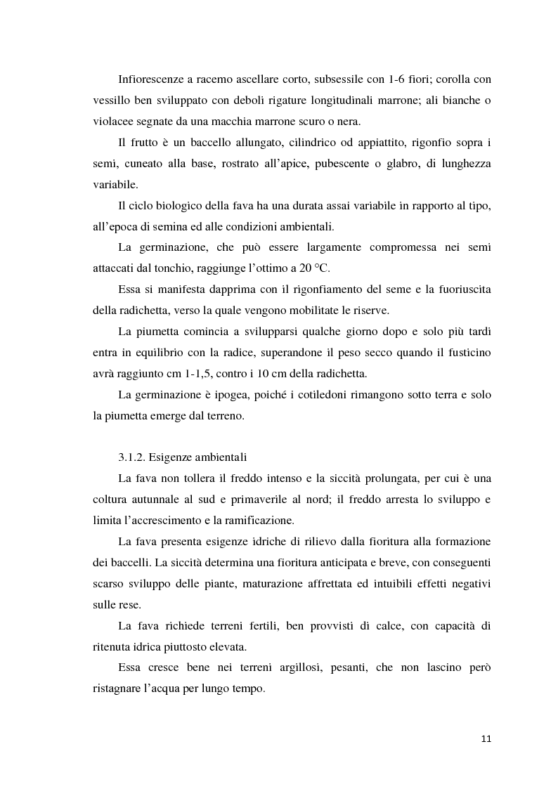 Anteprima della tesi: Quantificazione dell’azotofissazione in leguminose foraggere e stima della quota di azoto trasferito al cereale in successione, Pagina 11
