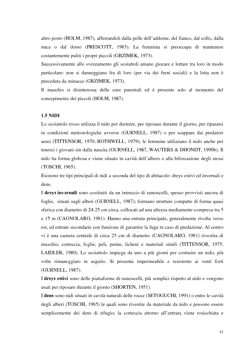 Anteprima della tesi: Nuovi dati sul comportamento di Sciurus vulgaris merdionalis in Calabria, Pagina 11
