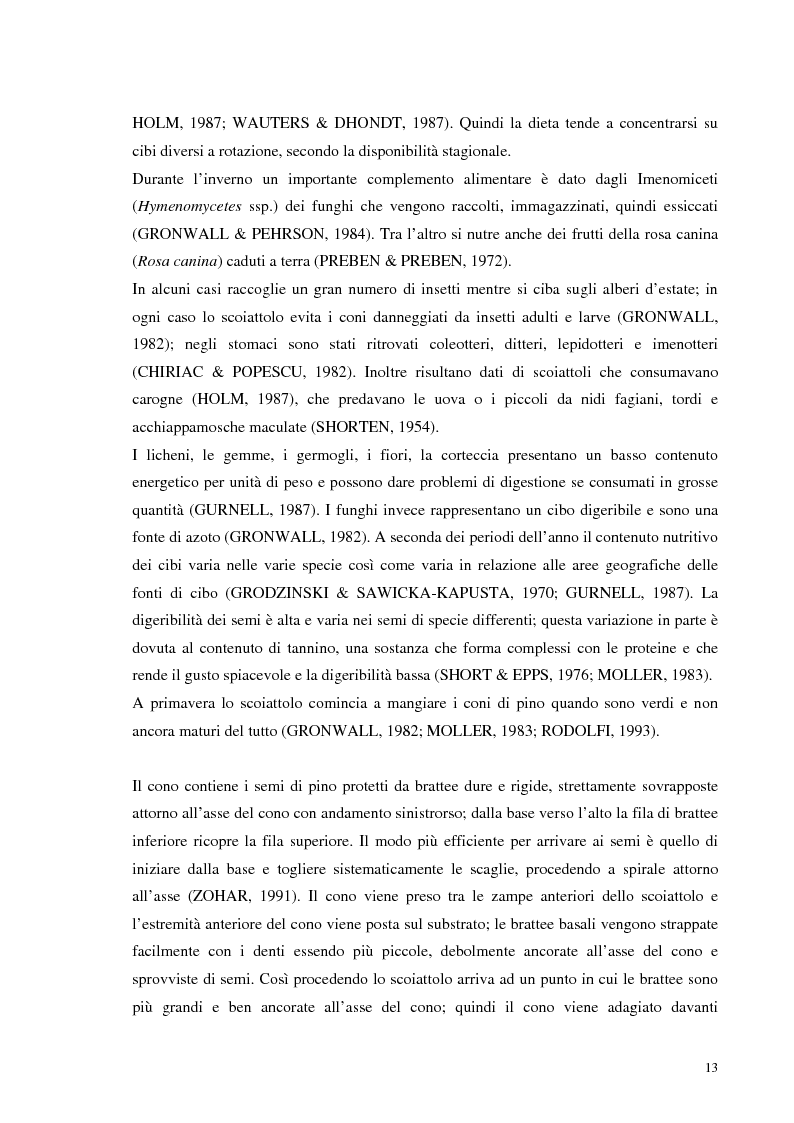 Anteprima della tesi: Nuovi dati sul comportamento di Sciurus vulgaris merdionalis in Calabria, Pagina 13