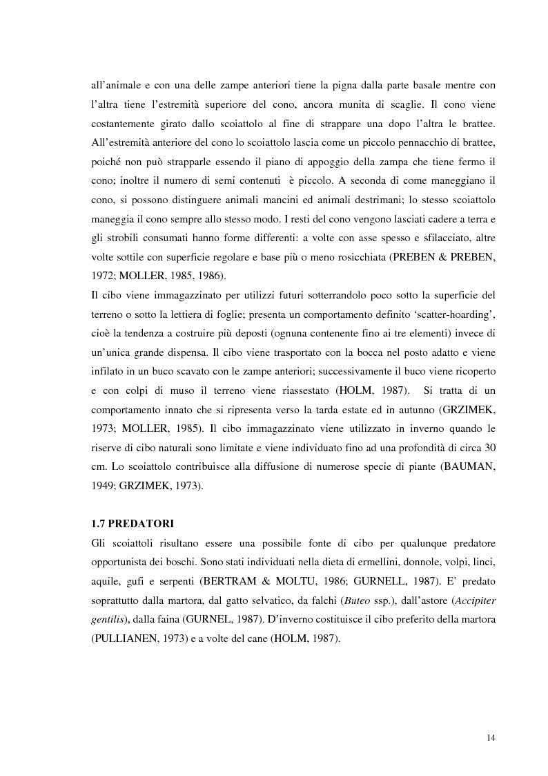 Anteprima della tesi: Nuovi dati sul comportamento di Sciurus vulgaris merdionalis in Calabria, Pagina 14