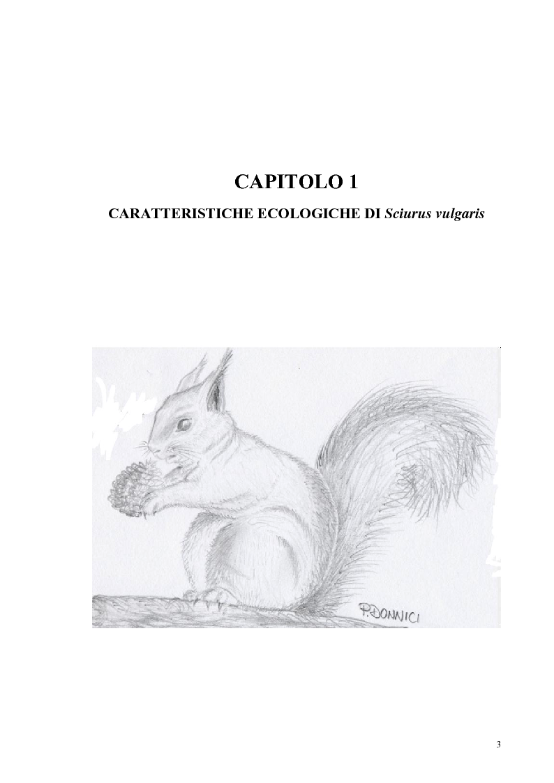 Anteprima della tesi: Nuovi dati sul comportamento di Sciurus vulgaris merdionalis in Calabria, Pagina 3