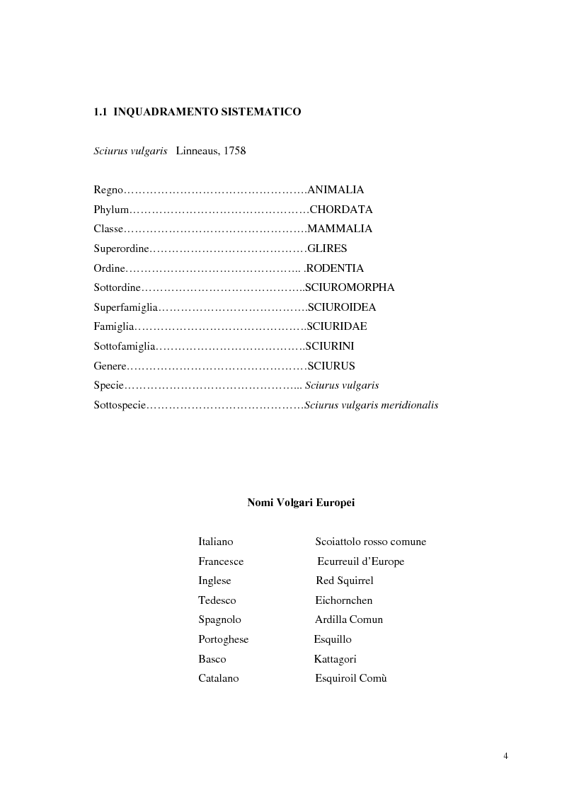 Anteprima della tesi: Nuovi dati sul comportamento di Sciurus vulgaris merdionalis in Calabria, Pagina 4