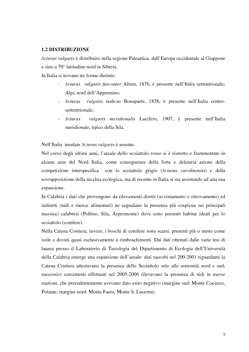 Anteprima della tesi: Nuovi dati sul comportamento di Sciurus vulgaris merdionalis in Calabria, Pagina 5