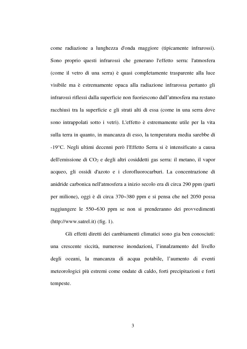 Anteprima della tesi: Ricerche sperimentali sulla propagazione di Arundo donax, Pagina 3