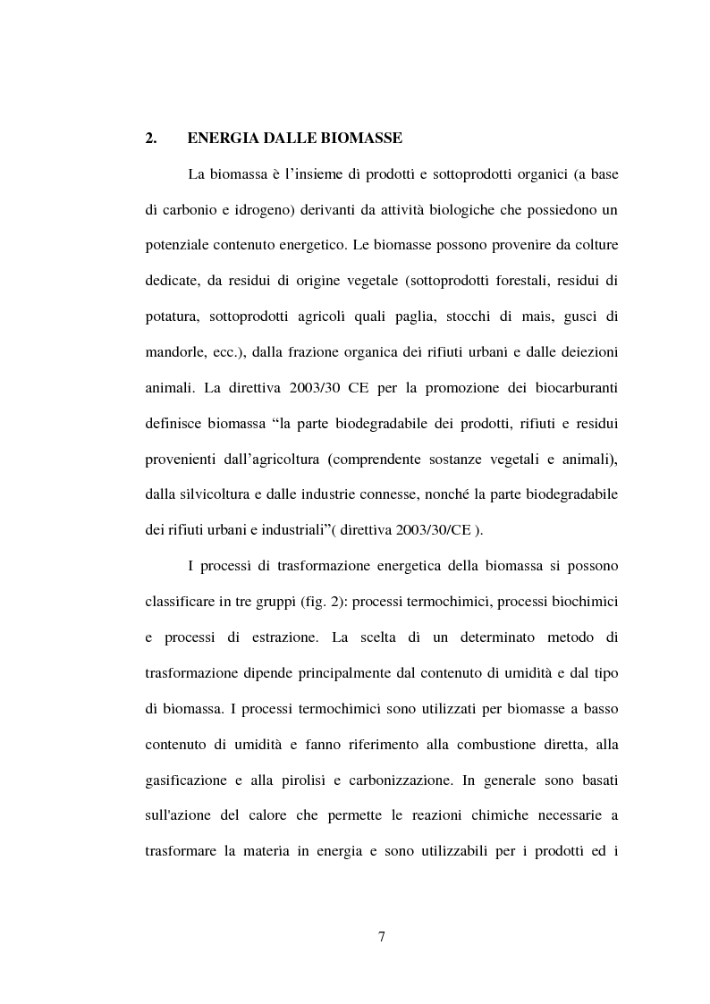 Anteprima della tesi: Ricerche sperimentali sulla propagazione di Arundo donax, Pagina 7