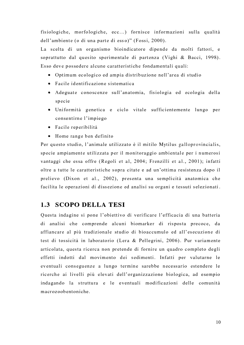 Anteprima della tesi: Valutazione degli effetti biologici della movimentazione di sabbie marine mediante l'utilizzo di biomarker cellulari in Mytilus galloprovincialis, Pagina 8