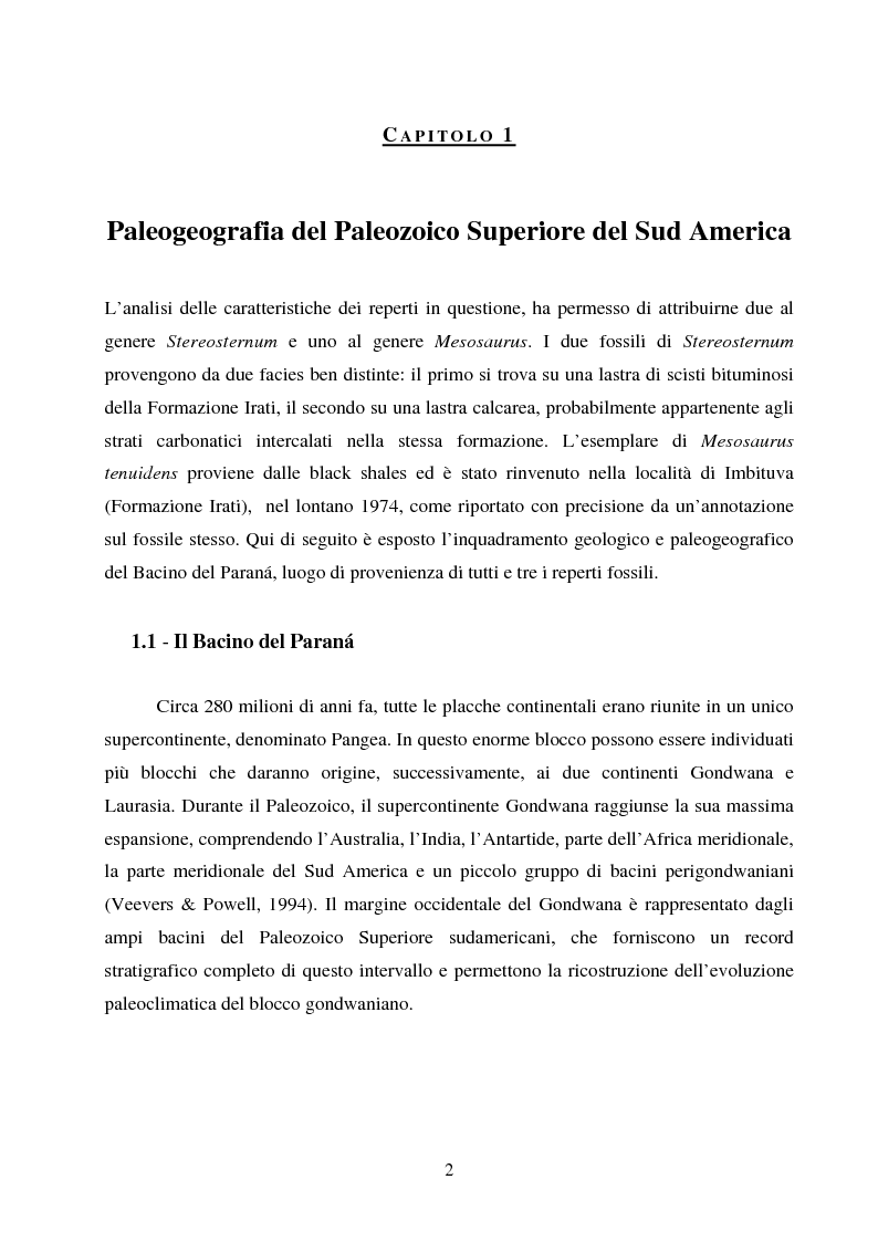 Anteprima della tesi: Analisi di rettili con adattamenti acquatici del Paleozoico Superiore del Brasile, Pagina 2