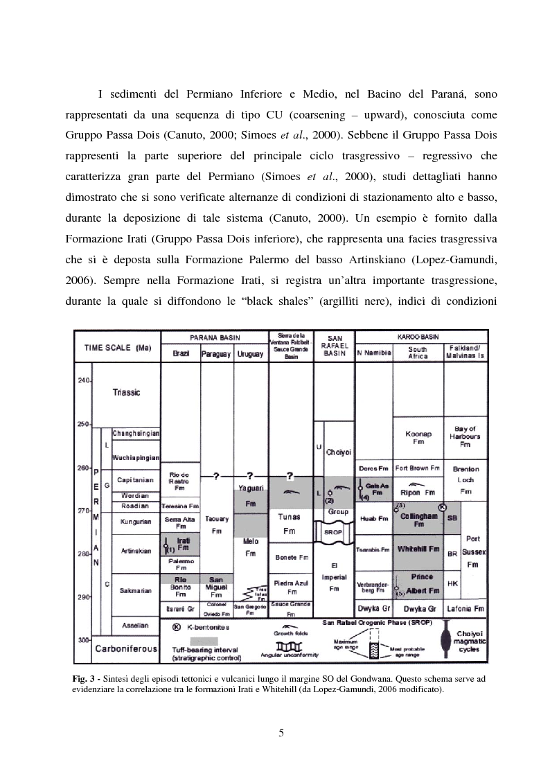 Anteprima della tesi: Analisi di rettili con adattamenti acquatici del Paleozoico Superiore del Brasile, Pagina 5