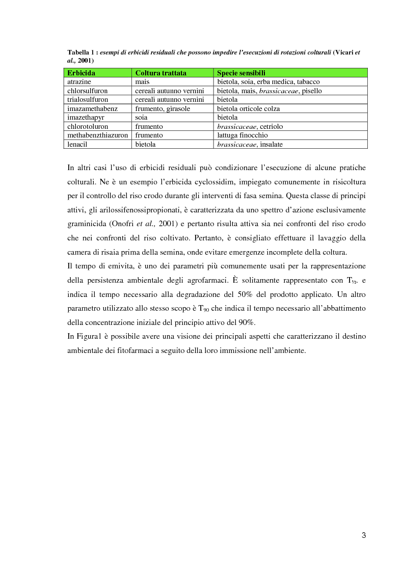 Anteprima della tesi: Comportamento ambientale dei diserbanti utilizzati in risaia, Pagina 3