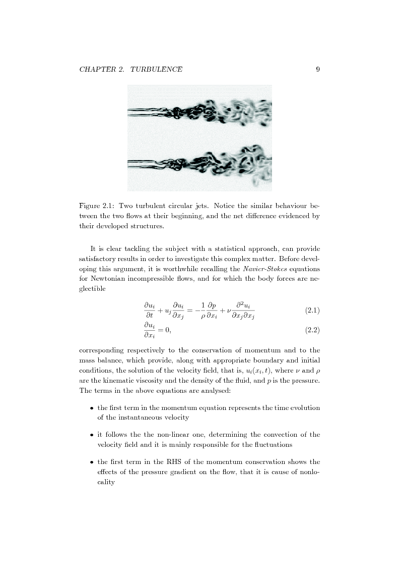 Anteprima della tesi: Direct Numerical Simulation of a turbulent premixed bunsen flame:Fractal Analysis of the flame front, Pagina 4