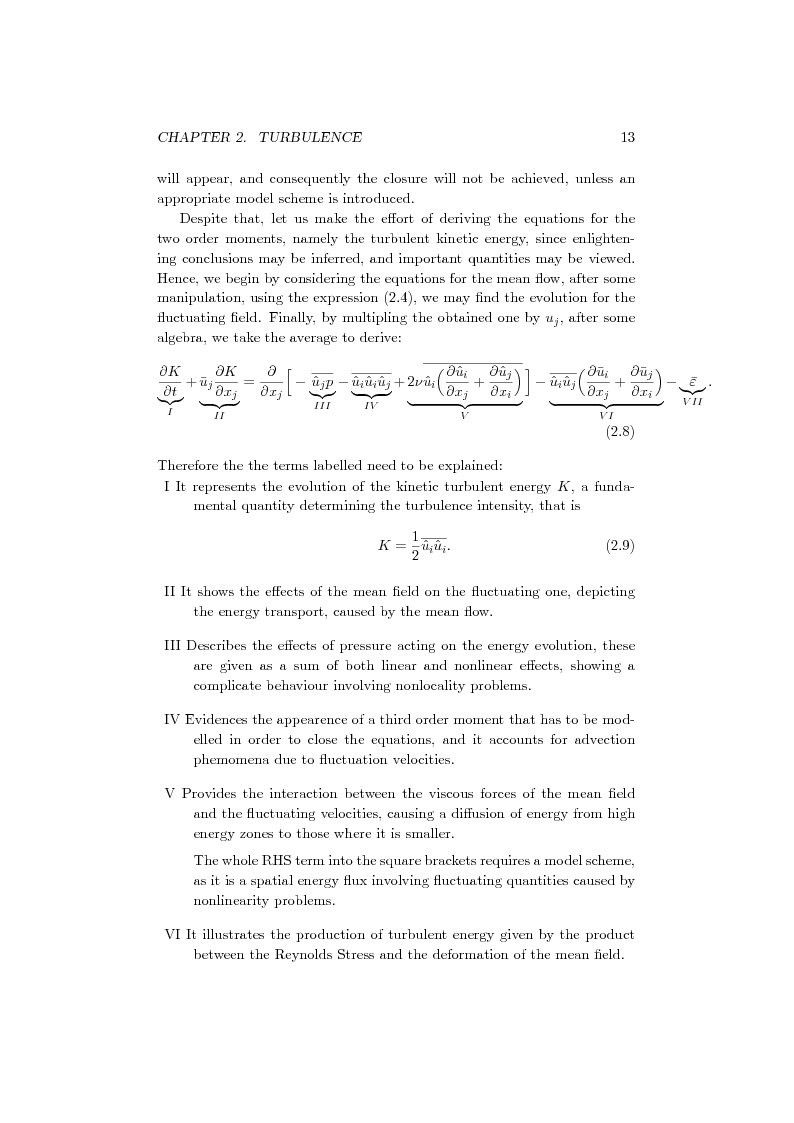 Anteprima della tesi: Direct Numerical Simulation of a turbulent premixed bunsen flame:Fractal Analysis of the flame front, Pagina 8