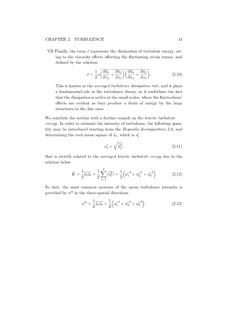 Anteprima della tesi: Direct Numerical Simulation of a turbulent premixed bunsen flame:Fractal Analysis of the flame front, Pagina 9