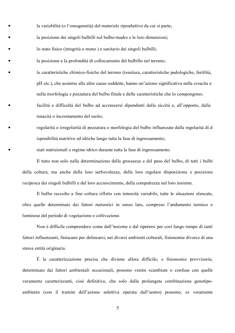 Anteprima della tesi: Caratterizzazione di tipi di aglio (Allium sativum L.) diffusi in Sicilia, Pagina 2