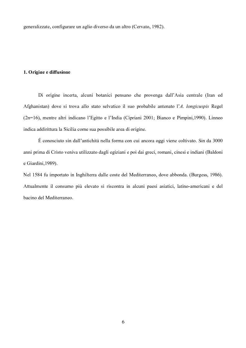 Anteprima della tesi: Caratterizzazione di tipi di aglio (Allium sativum L.) diffusi in Sicilia, Pagina 3