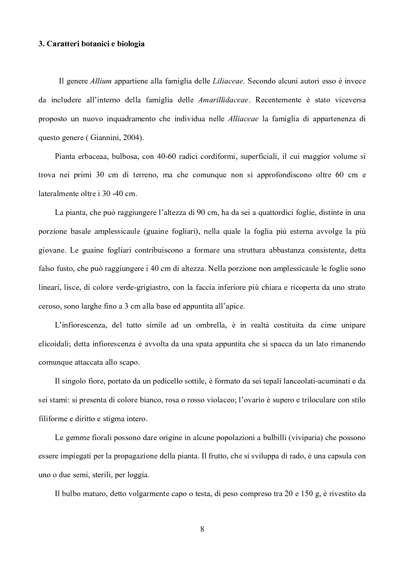 Anteprima della tesi: Caratterizzazione di tipi di aglio (Allium sativum L.) diffusi in Sicilia, Pagina 5