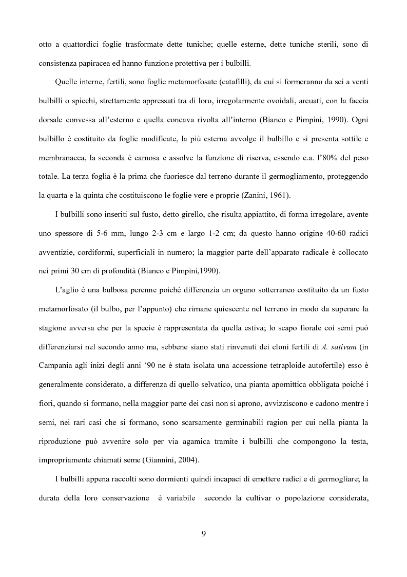Anteprima della tesi: Caratterizzazione di tipi di aglio (Allium sativum L.) diffusi in Sicilia, Pagina 6