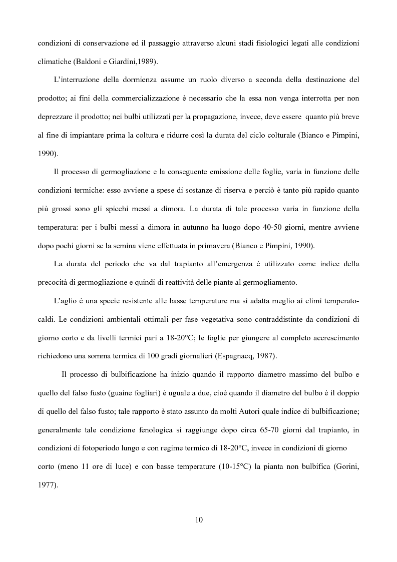 Anteprima della tesi: Caratterizzazione di tipi di aglio (Allium sativum L.) diffusi in Sicilia, Pagina 7