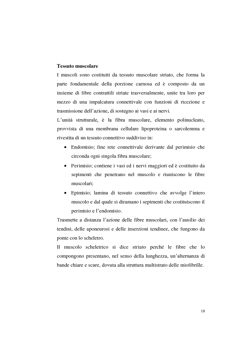 Anteprima della tesi: Sostenibilità zootecnica in ordinamenti produttivi del Mezzogiorno continentale: Podolica e Marchigiana, Pagina 13