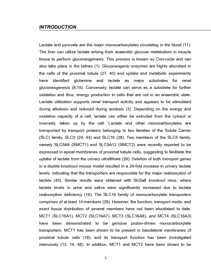 Anteprima della tesi: Localization of members of the MCT monocarboxylate transporter family Slc16 in the kidney and regulation during metabolic acidosis, Pagina 3