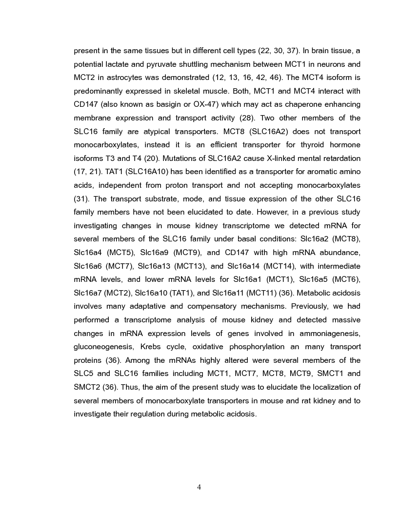 Anteprima della tesi: Localization of members of the MCT monocarboxylate transporter family Slc16 in the kidney and regulation during metabolic acidosis, Pagina 4