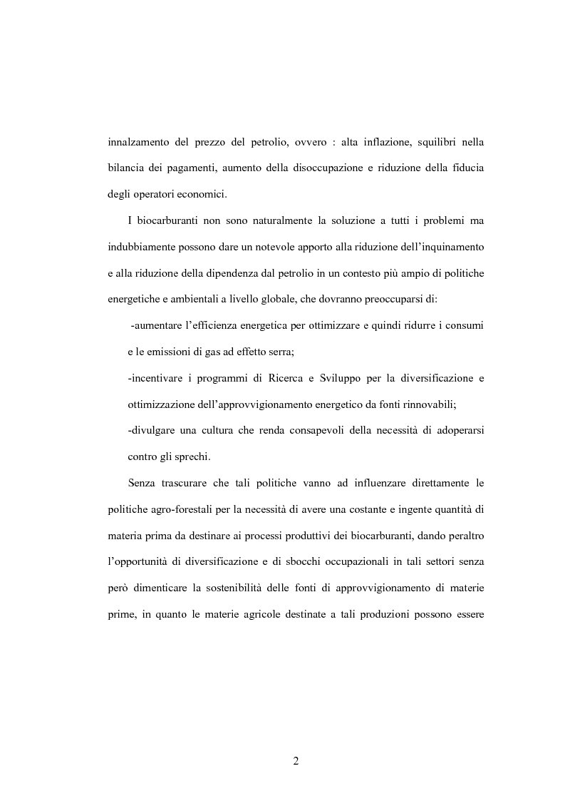 Anteprima della tesi: I biocarburanti, Pagina 2