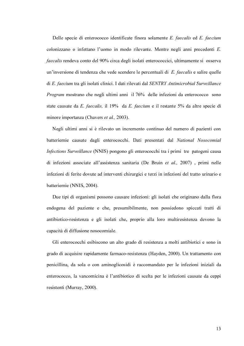 Anteprima della tesi: Identificazione e tipizzazione molecolare di enterococchi vancomicina resistenti (VRE) nell’Azienda Ospedaliera San Camillo-Forlanini, Pagina 11