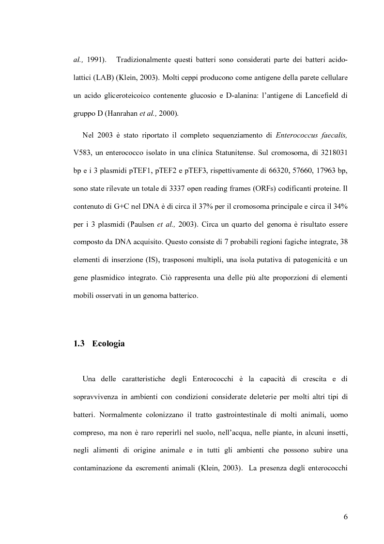 Anteprima della tesi: Identificazione e tipizzazione molecolare di enterococchi vancomicina resistenti (VRE) nell’Azienda Ospedaliera San Camillo-Forlanini, Pagina 4