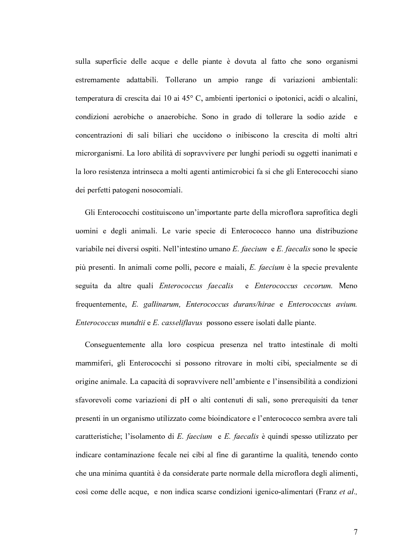 Anteprima della tesi: Identificazione e tipizzazione molecolare di enterococchi vancomicina resistenti (VRE) nell’Azienda Ospedaliera San Camillo-Forlanini, Pagina 5
