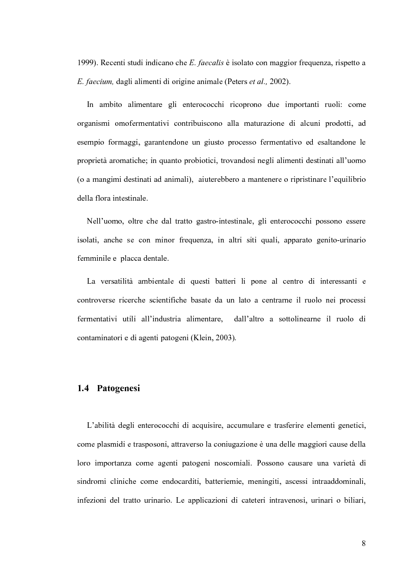 Anteprima della tesi: Identificazione e tipizzazione molecolare di enterococchi vancomicina resistenti (VRE) nell’Azienda Ospedaliera San Camillo-Forlanini, Pagina 6