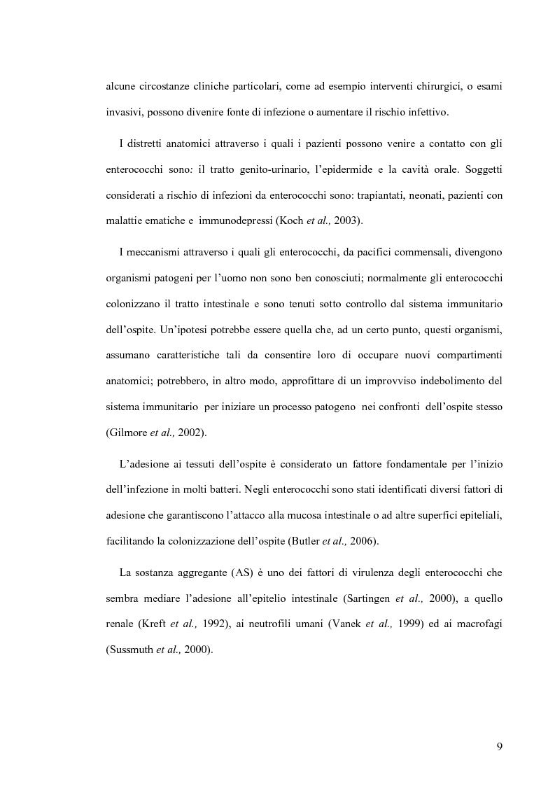 Anteprima della tesi: Identificazione e tipizzazione molecolare di enterococchi vancomicina resistenti (VRE) nell’Azienda Ospedaliera San Camillo-Forlanini, Pagina 7