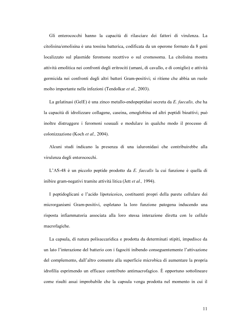 Anteprima della tesi: Identificazione e tipizzazione molecolare di enterococchi vancomicina resistenti (VRE) nell’Azienda Ospedaliera San Camillo-Forlanini, Pagina 9