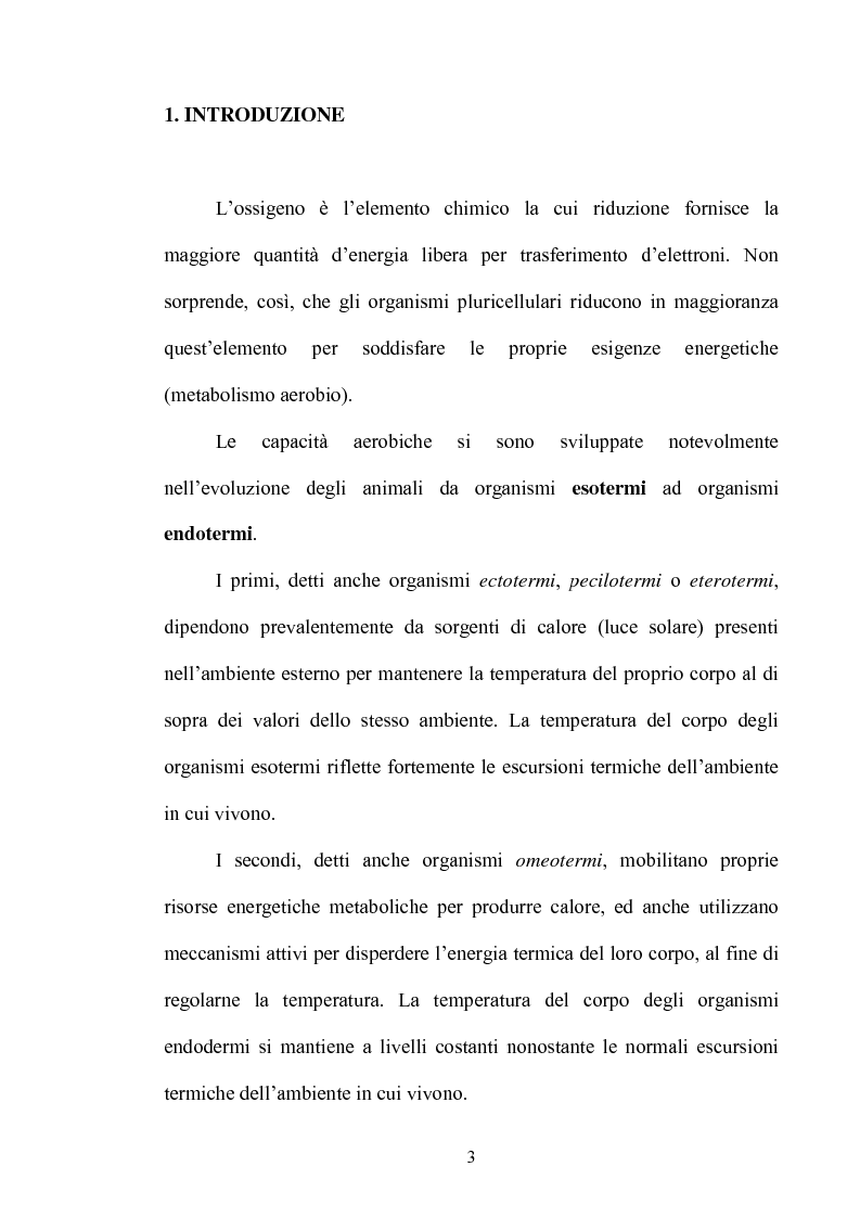 Anteprima della tesi: Le risposte adattative all'ipossia: dagli animali marini all'uomo, Pagina 3