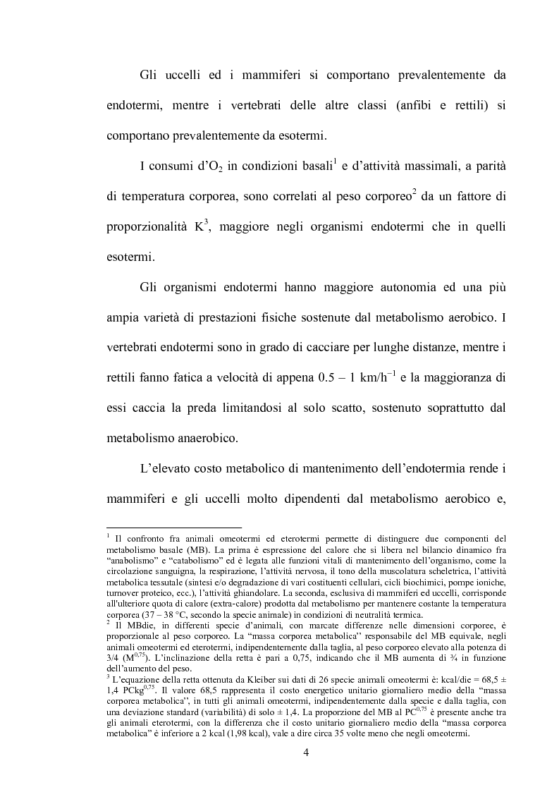 Anteprima della tesi: Le risposte adattative all'ipossia: dagli animali marini all'uomo, Pagina 4