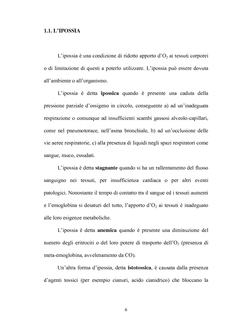 Anteprima della tesi: Le risposte adattative all'ipossia: dagli animali marini all'uomo, Pagina 6