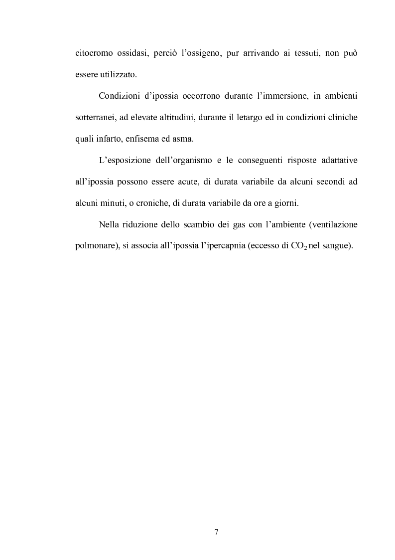 Anteprima della tesi: Le risposte adattative all'ipossia: dagli animali marini all'uomo, Pagina 7